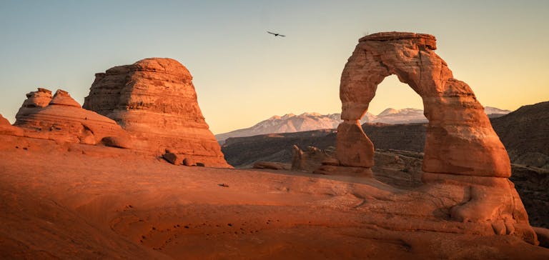 Scenic view of Delicate Arch with a bird flying overhead at sunrise in Utah's Arches National Park.
