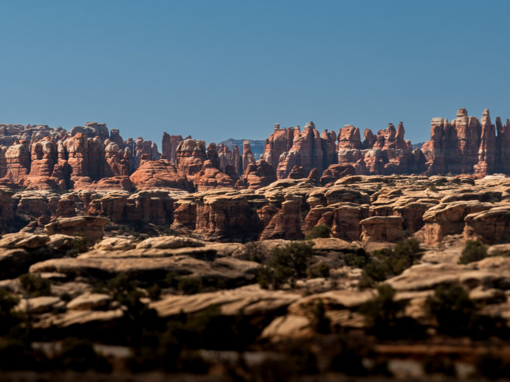 view of the needles district in Canyonlads National Park